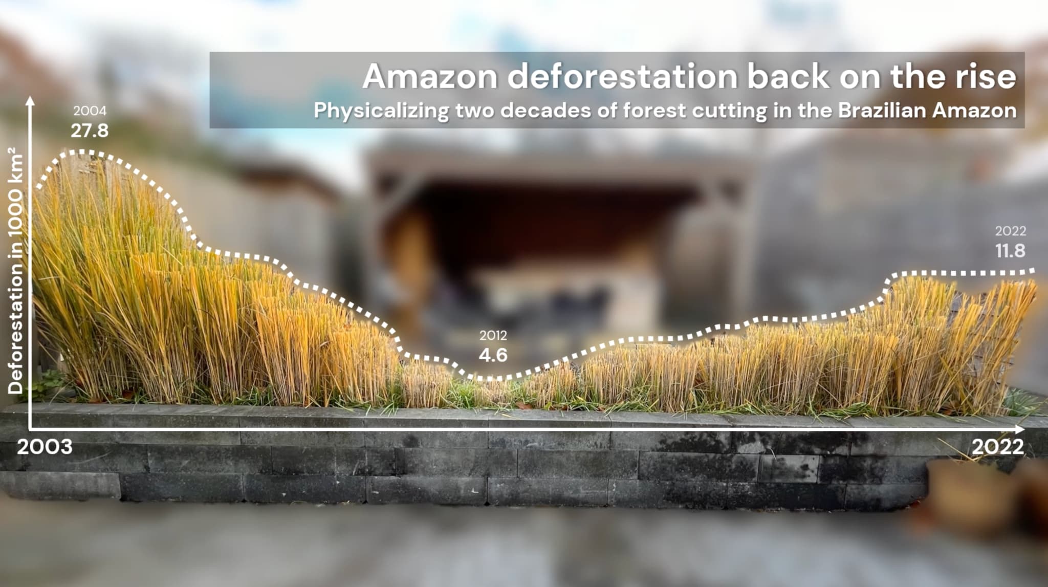 Amazon Deforestation