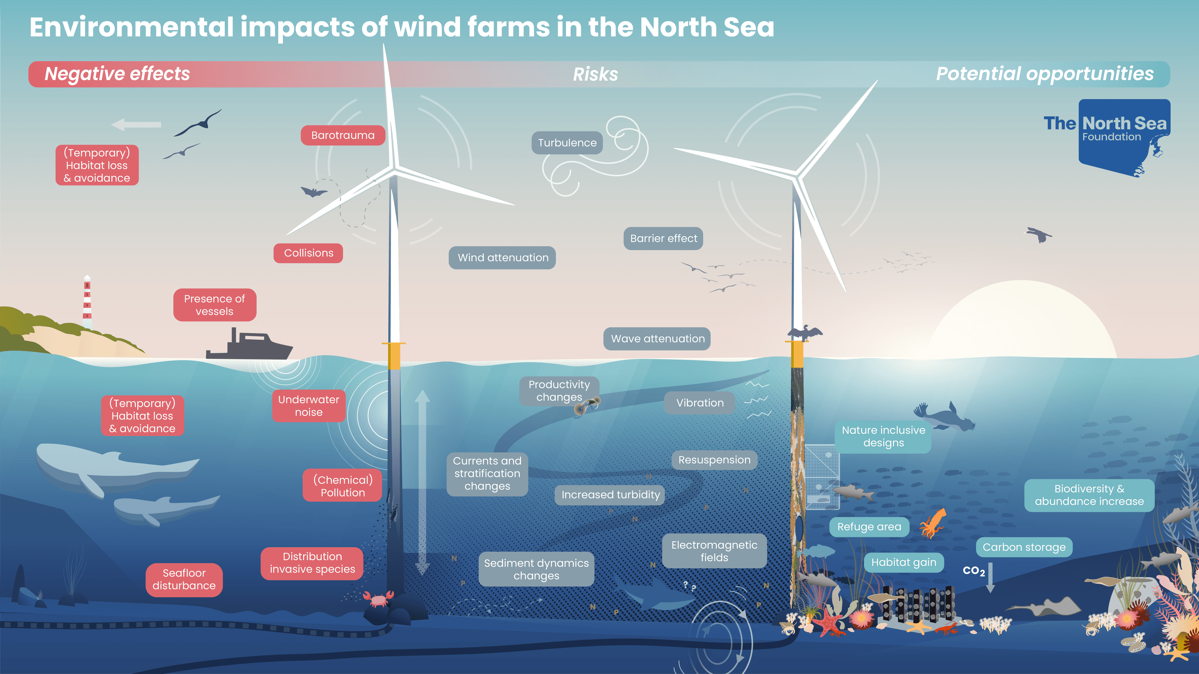 New infographic