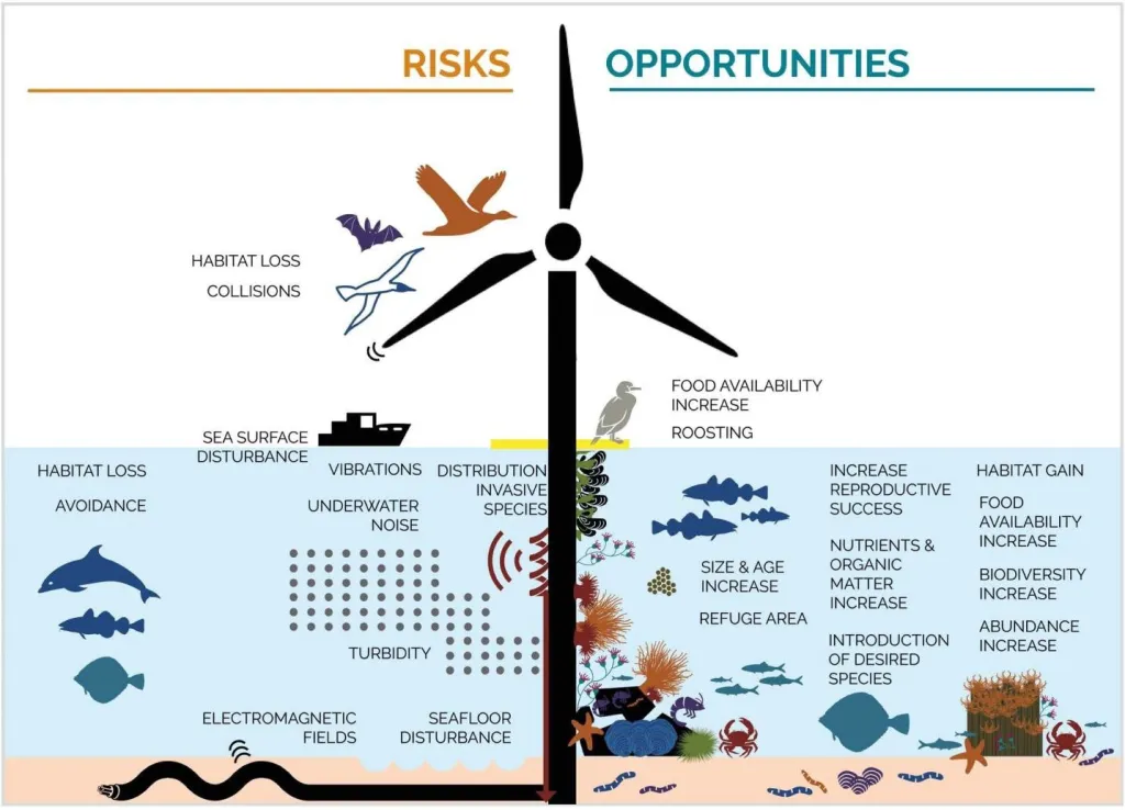 Old and outdated infographic